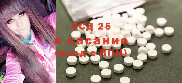 спайс Богданович