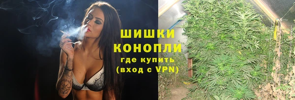 индика Верхнеуральск