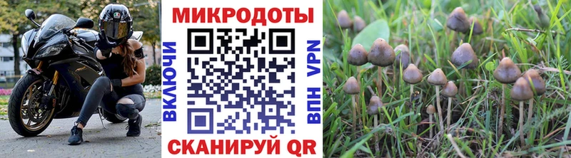Галлюциногенные грибы Cubensis  Купить где  Егорьевск 